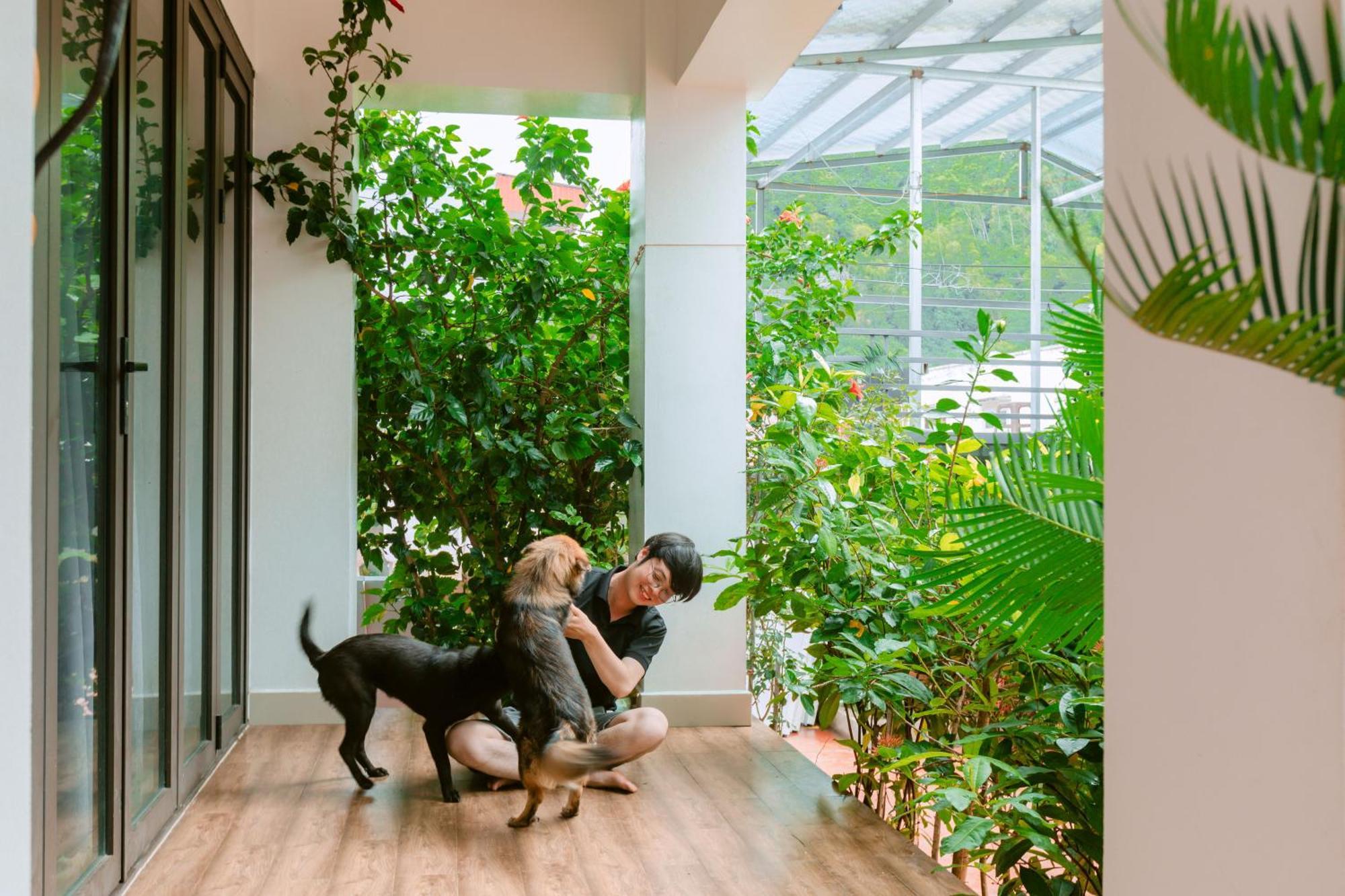 D'Home Homestay Cat Ba Dong Khe Sau Esterno foto